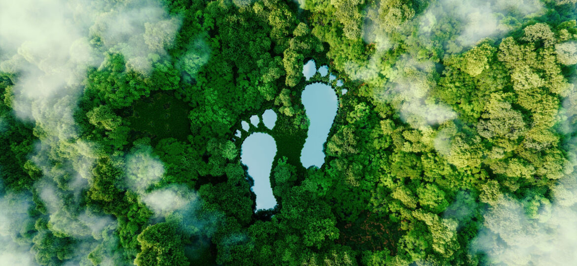 A lake in the shape of human footprints in the middle of a lush forest as a metaphor for the impact of human activity on the landscape and nature in general. 3d rendering.